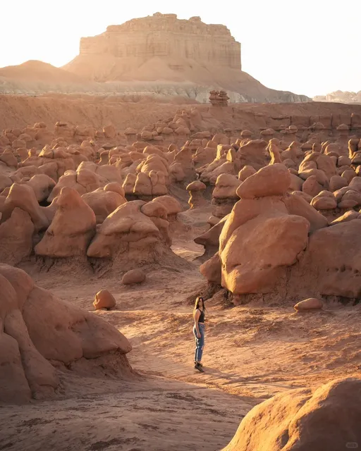 ✨ Save for Future Plans ✨  