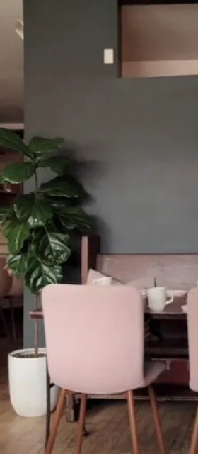 🍜 Ichiddo Ramen | A Reliable, No-Frills Chain Option on Eat Street