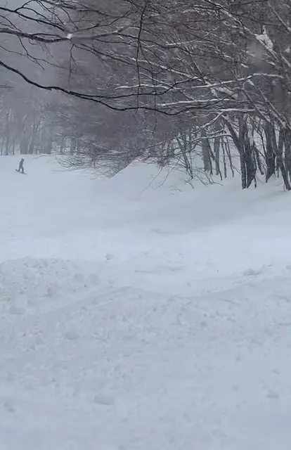  Conquering the Ice & Powder: