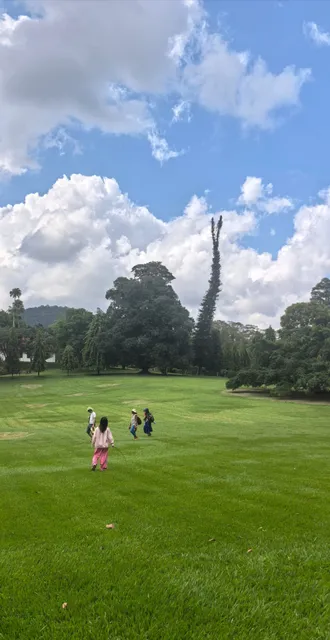 💞 7-Day Loop Tour to Explore "Tear of the Indian Ocean" - Sri Lanka