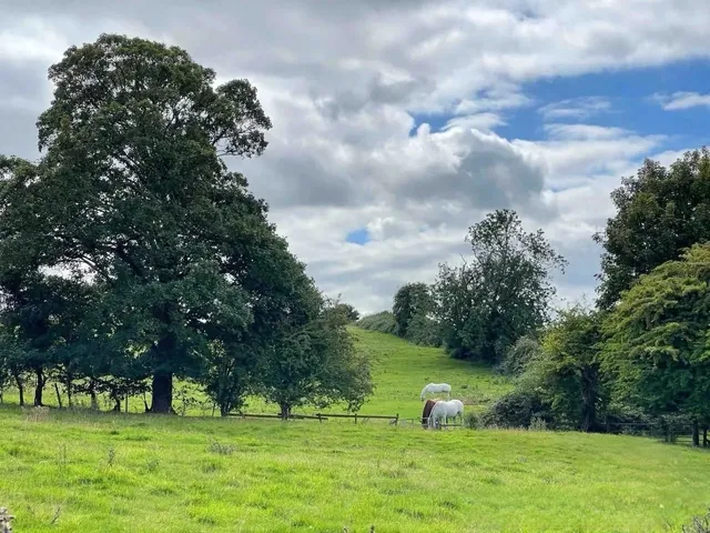 Cotswolds | The Real England Is Not in London