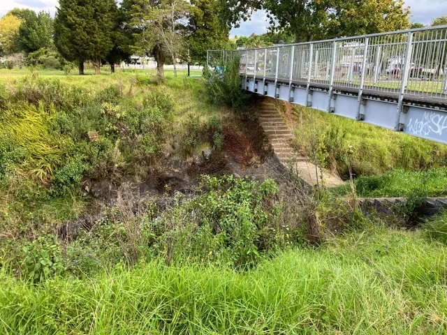 🌿 Locals' Secret: 30-Minute Waterfall Hike!