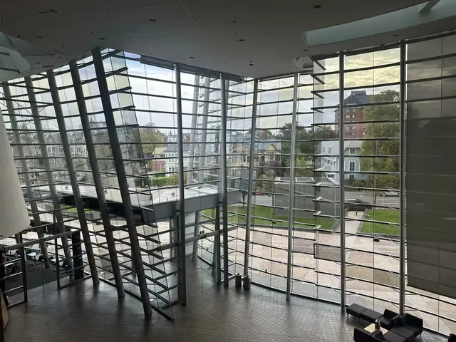 🇳🇿 Christchurch Citywalk | 50,000 Steps of Pure Chill 🌿🚶♂️