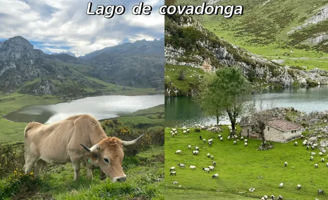 paraíso oculto en España que DEBES visitar: Lagos de Covadonga!