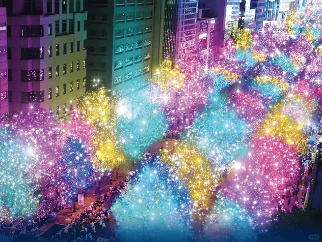 2024 Osaka Light Feast 