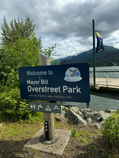 Juneau: The Quirky Capital of Alaska 🏔️🚢