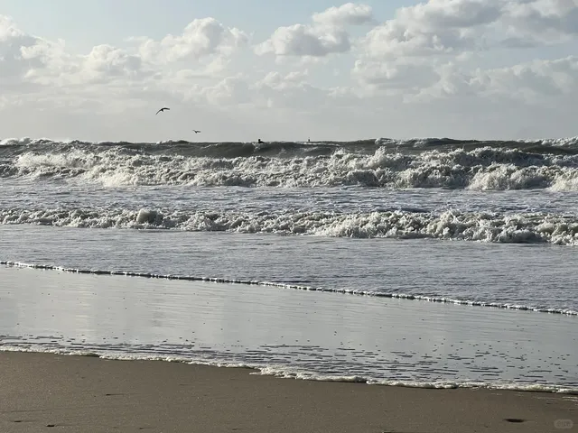 🇳🇱 The Hague Day Trip Guide – Seaside & City Charm!