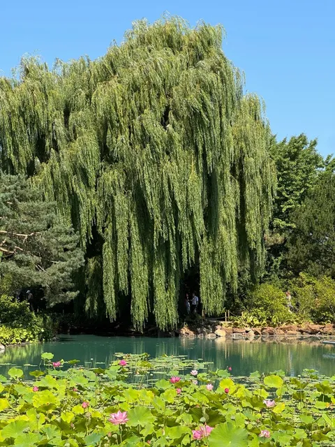 🇨🇦 On-the-Ground Review: Montreal Sightseeing with a Tour Group