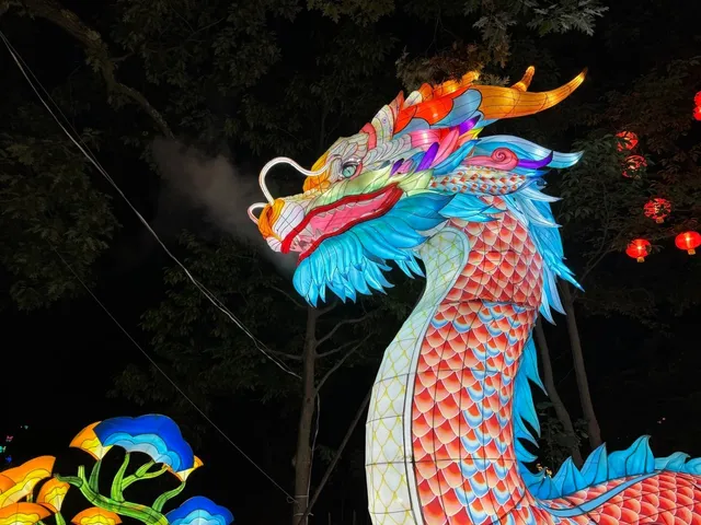 Franklin Park Lights: A Magical Summer Night in Boston 🌙🦒