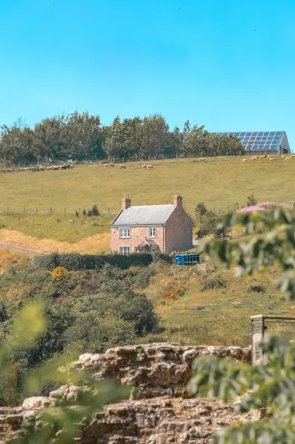 Can't-miss fun places in Newcastle!