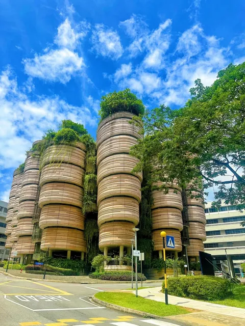 🌿🍃 Just returned from Singapore