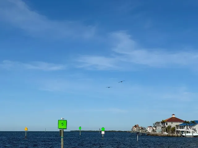 Tampa Part 2️⃣ | Turquoise Springs, Deep Green Forests & a Red Kayak 