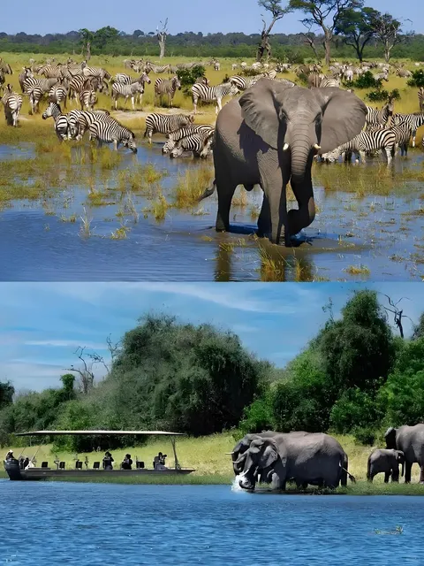 An Enchanting Journey to Encounter the Wild and Primitive Africa