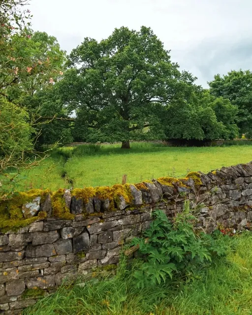 🇬🇧 Just 1h from Leeds: EPIC Hiking in Yorkshire Dales!