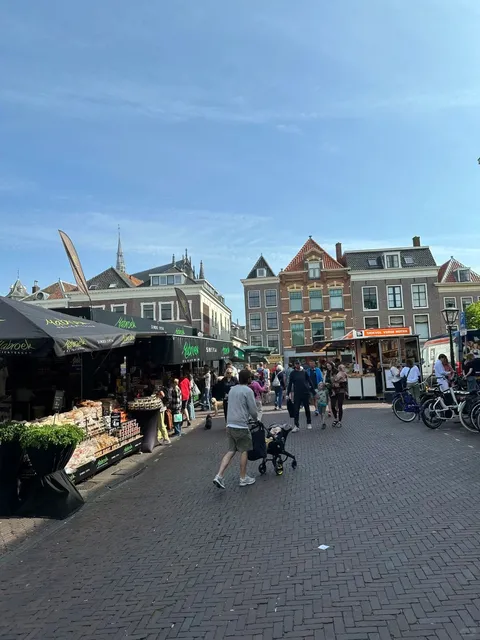 Fall in Love with the Dutch "Gezelligheid" 🇳🇱🌷