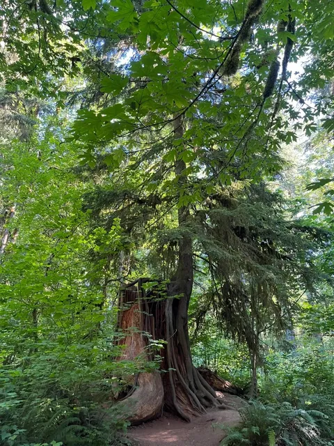 Seattle | Snoqualmie Falls Hiking