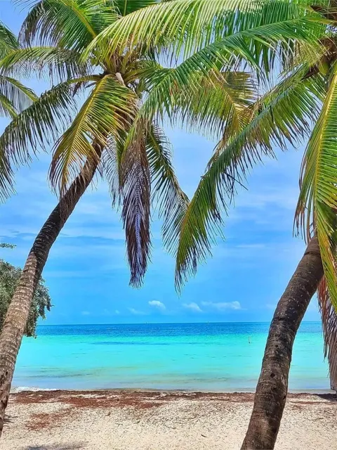 Your Ultimate First-Time Guide to Key West from Miami 🌊