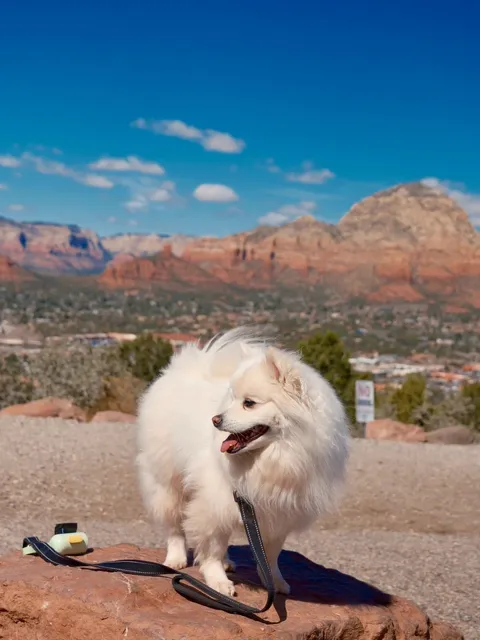 🇺🇸 Sedona, AZ Travel Guide 🌵 | Hiking Tips & Must-See Spots