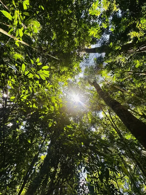 Bird Park Guide | Brazil