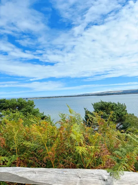 🇬🇧 Southampton | Perfect Island Day Trips Guide