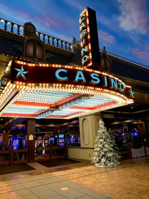 Wandering North America with Two Dogs 🐕｜Stop 4: Kansas City, KS