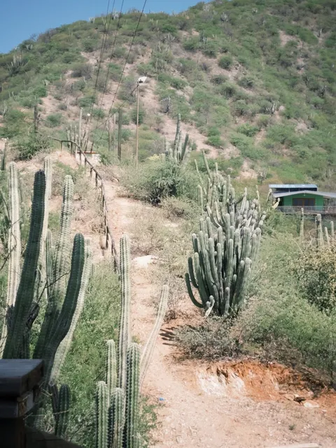 Santa Marta: Where the Caribbean Sun Burns Bright 