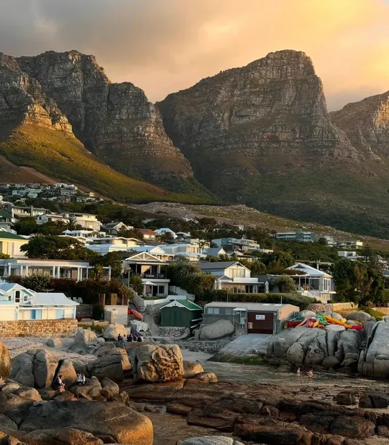 Cape Town Safari + Beach, Nailed It! 🦓