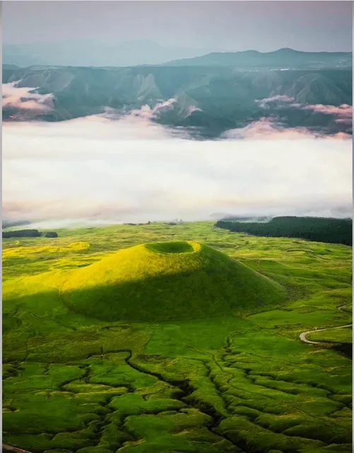 ⭕ Luxury 7-Day | Premium Experience 🌸🌺