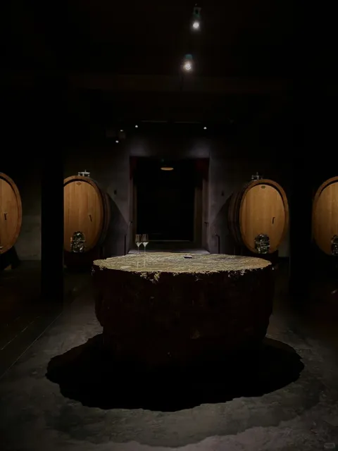 🇺🇸 Is Napa's Promontory Worth It? 🍇