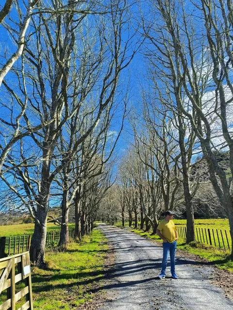 🌿 Clevedon Scenic Reserve | Auckland’s Hidden Gem 🏜️
