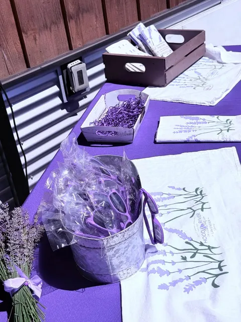 Portland Diary: A Summer with a Bunch of Lavender 🌿