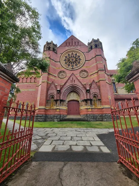 How to Explore Launceston, Tasmania! 🌿🚗