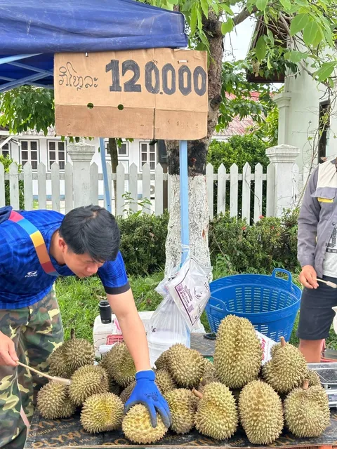 🇱🇦 Luang Prabang Travel Guide | Skip My Mistakes!