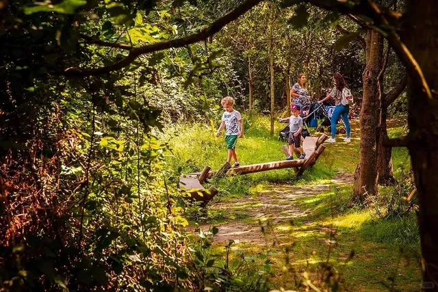 London Private Park Adventure Centre 🏞️