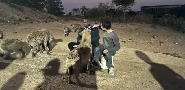 Harar & Dire Dawa Travel Guide  😍