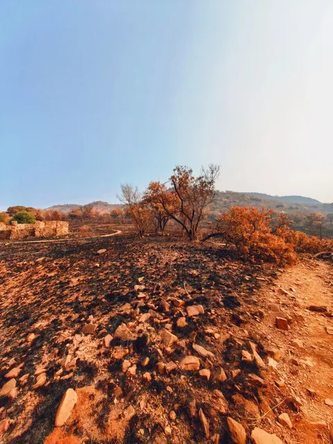 🇿🇦 Magaliesberg Hiking Adventure | Johannesburg’s Wild Escape! 🏞️✨