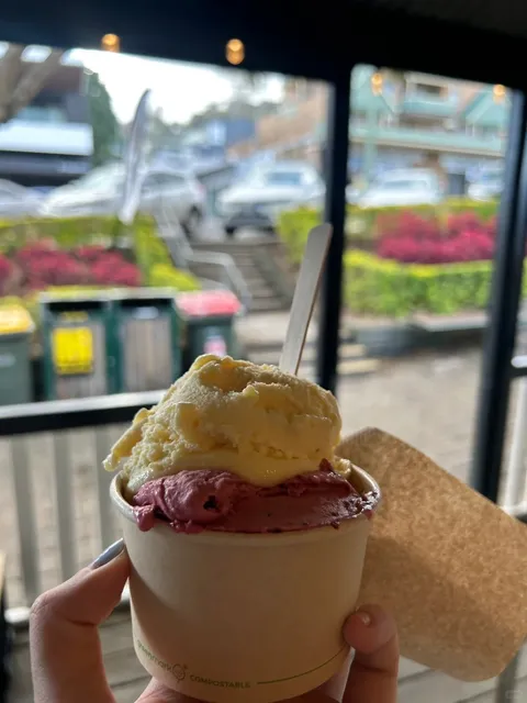 🌊 Kiama Day Trip | Whale Watching Guide 🐋✨