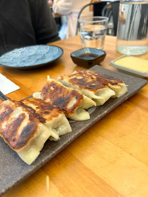 Mission Dumpling is a Must-Try! 🌟🥟
