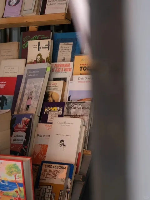 Sunsets & Roses 🌄 Madrid is Full of Magic