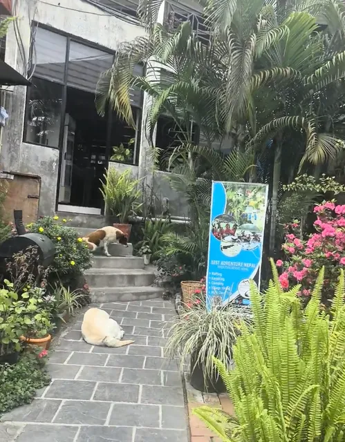 🌟Nepal’s Best Pizza Spot