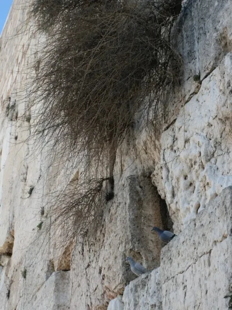 When Does the Western Wall Stop Crying?