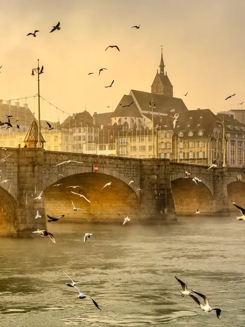 Basel🇨🇭, the "Cultural Capital," is a Must-Visit Art Destination
