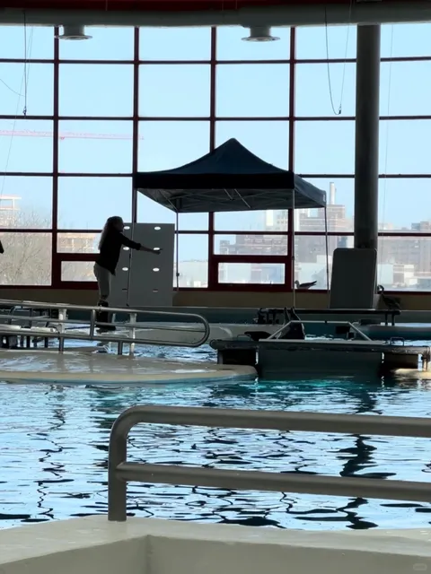 National Aquarium in Baltimore is Simply Magical! 🪐💫