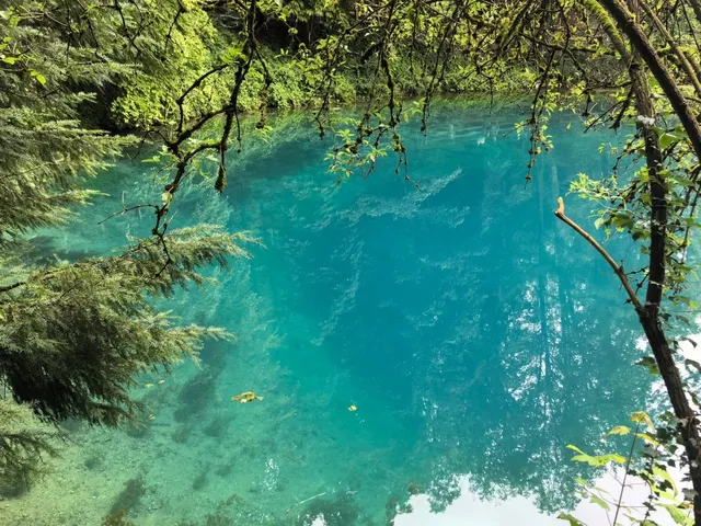 🇩🇪 Ulm: A Danube Fairytale in One Perfect Day