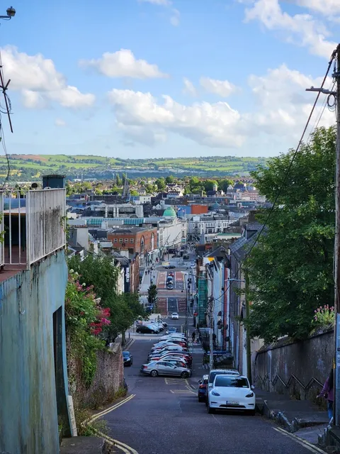🇮🇪 One-Day Trip to Cork | Goose Feeding Edition 🦆