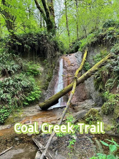 [Hiking in Seattle] Coal Creek Trail