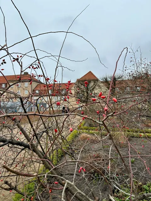 Denmark | Rosenborg Castle Copenhagen Chinese Guide