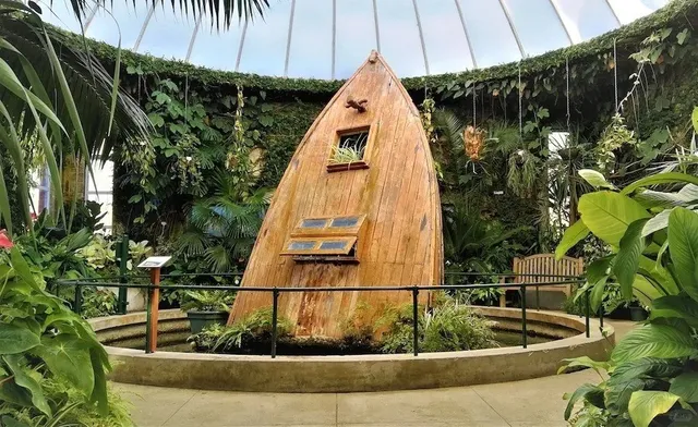 Queens Park, Invercargill – A Green Oasis at the Edge of the World! 🌿