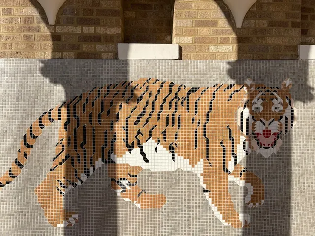 🇺🇸 U.S. Student’s Winter Break Road Trip｜Little Rock, Arkansas