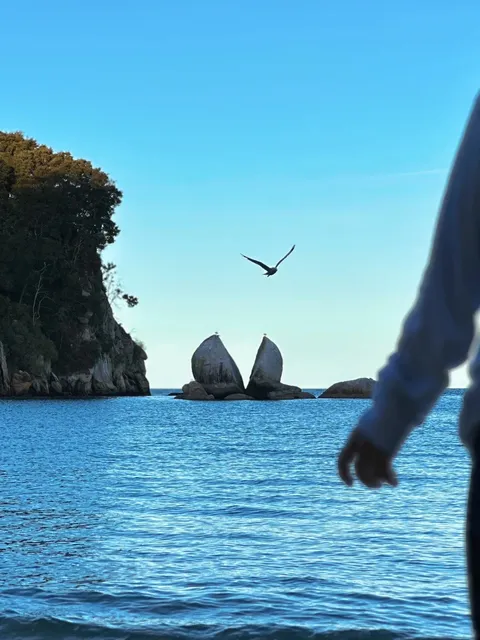 🌿 Solo Trip in NZ | Days 47-51: Nelson (Final Stop!) 🇳🇿